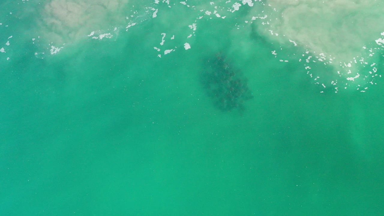 Overhead view of green shallow water in Los Cabos, Mexico, with pale wave wash at the top and a dark school of fish under the surface, no visible people.