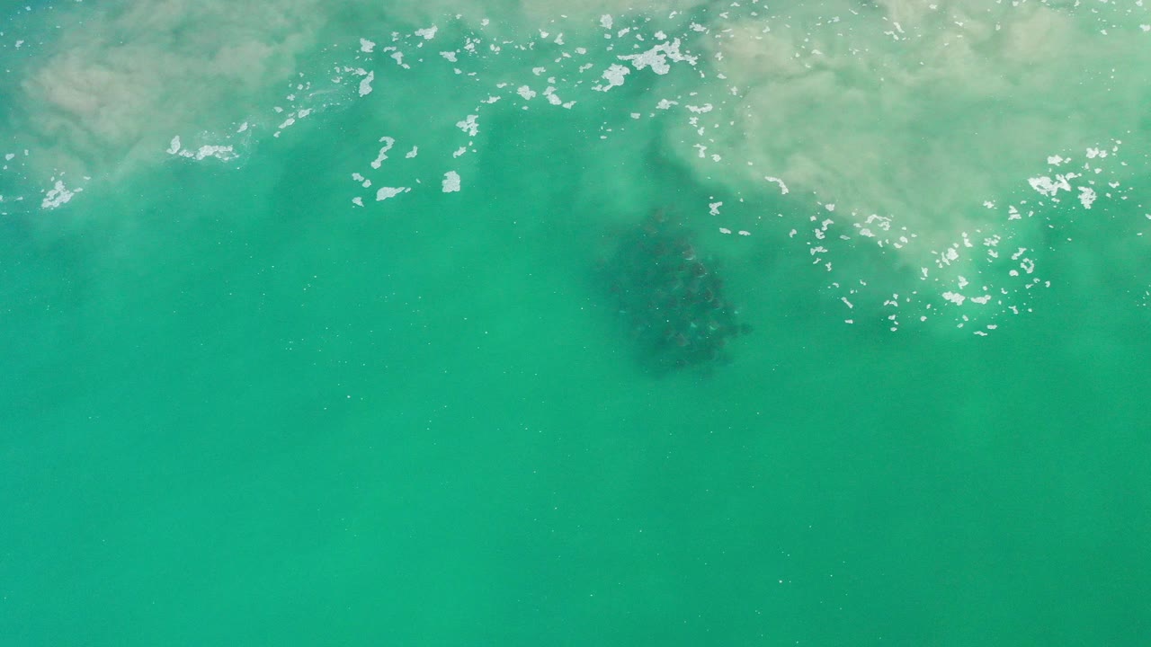 Green ocean water with pale surf foam and a dark submerged patch