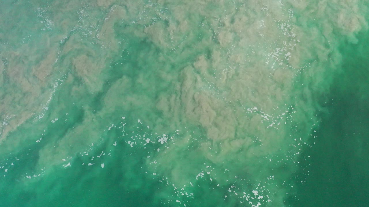 Top-down green seawater over muddy sand with scattered foam.
