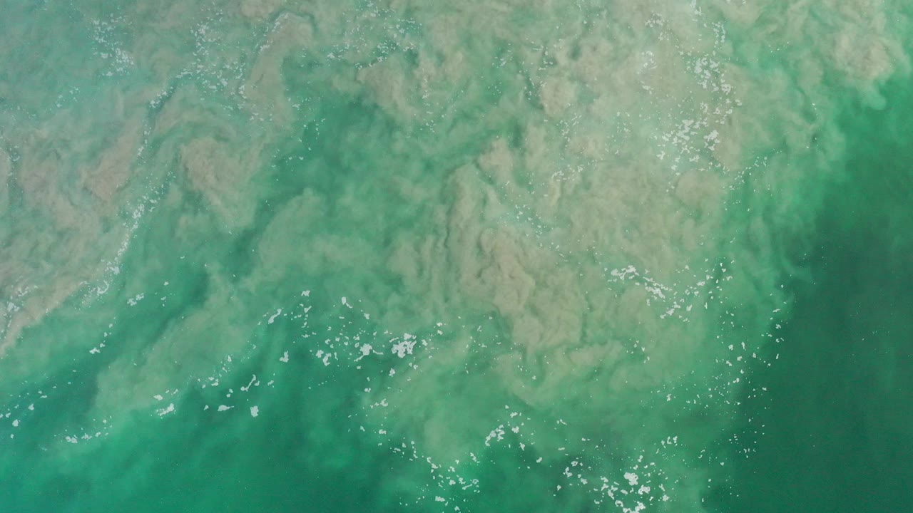 Top-down Los Cabos shoreline detail with translucent green water covering tan muddy sand, scattered bubbles, and no visible people.