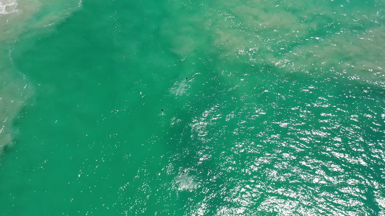 Turquoise water surface with fish specks and light ripples.