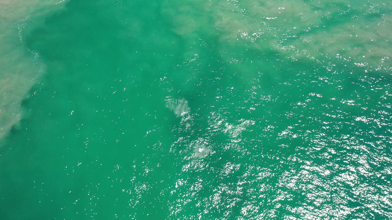 Overhead view of turquoise water in Los Cabos, Mexico, with bright sun reflections near the lower center, pale submerged clouding near the top, and no visible people.