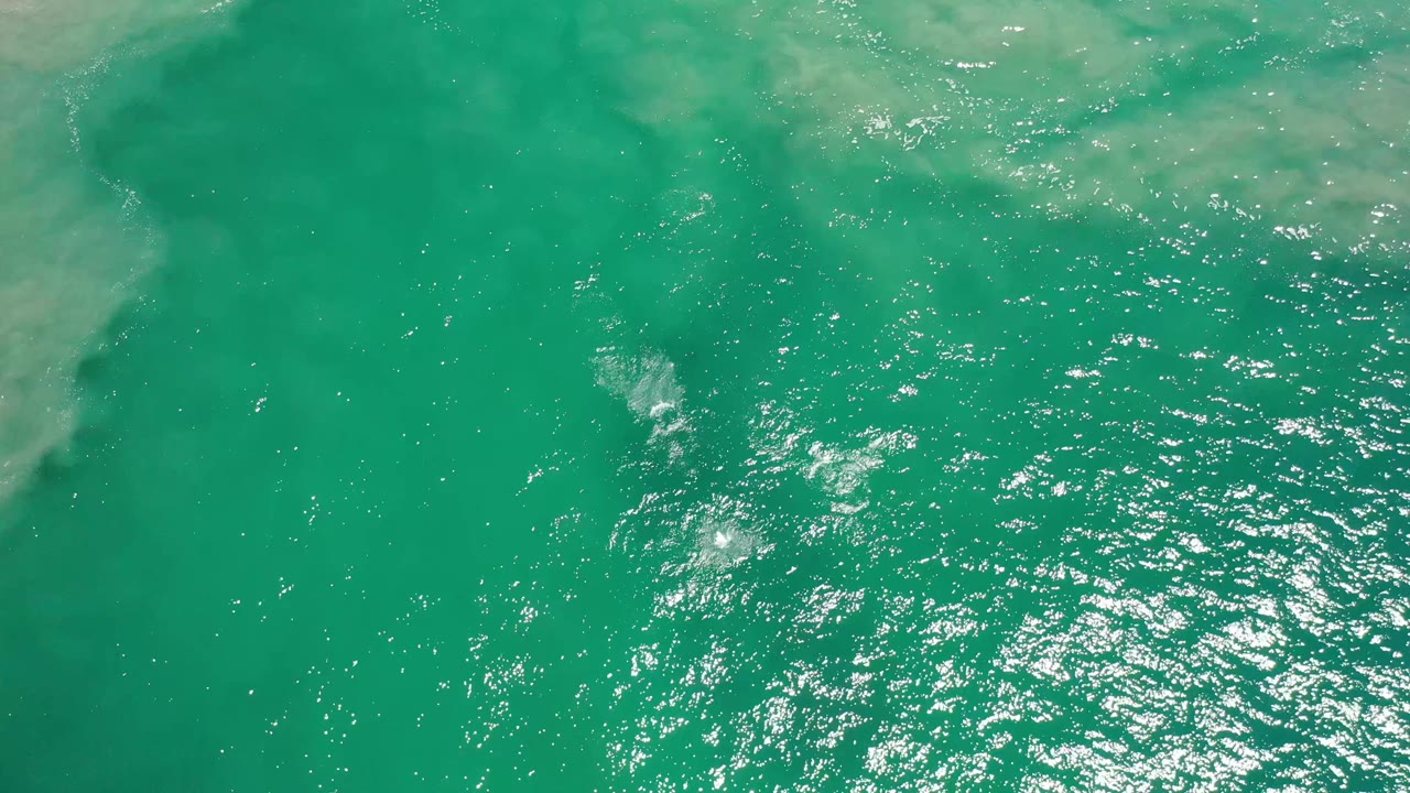 Overhead Los Cabos water frame with sun sparkle spread across the lower half, a pale cloudy underwater patch at the top, and no visible people.