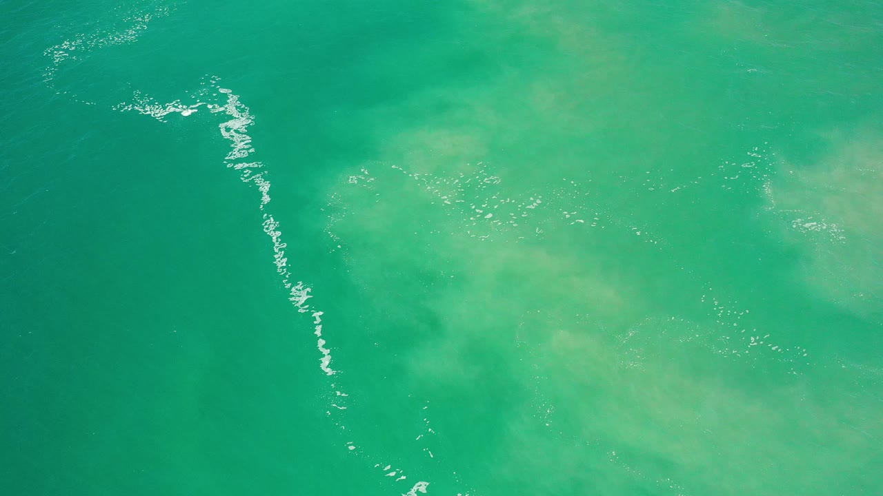 Green ocean surface with a thin white wave line.