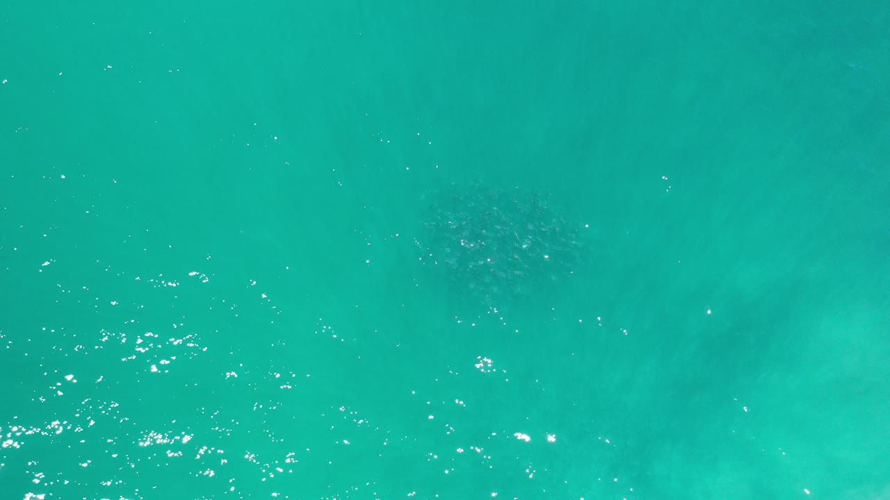 Top-down view of turquoise ocean water in Los Cabos with scattered sun reflections, faint darker patches below the surface, and no visible people.