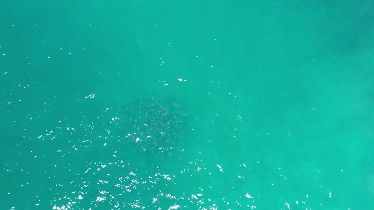 Overhead ocean water with clustered white surface glints.