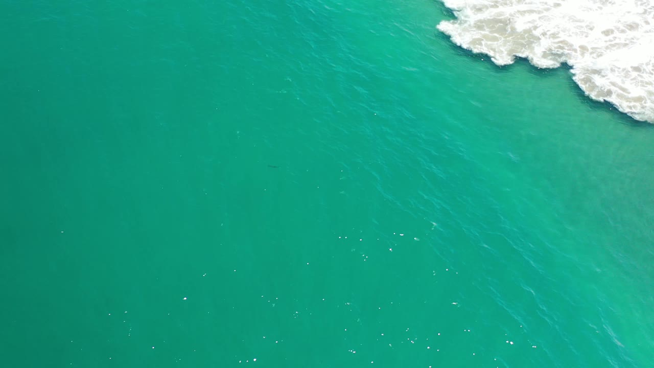 Aerial-looking frame of green water in Los Cabos, Mexico, with white foamy water clipped along the upper-right border and no visible people.