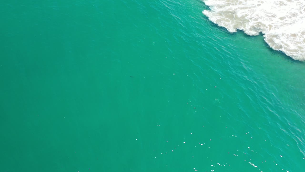 Open green water with a small band of surf at the top right.