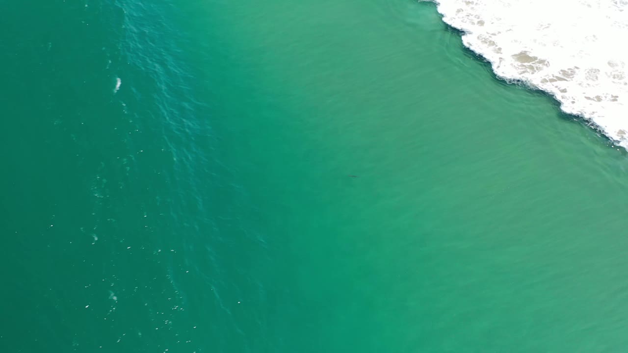 Aerial frame over green Los Cabos water where a white foamy wave curls in from the upper right, with no visible people or structures.