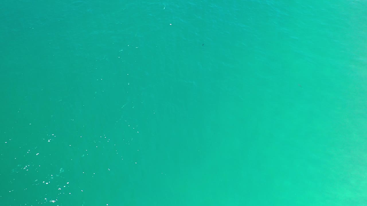 Turquoise ocean water filling the frame with faint ripples.