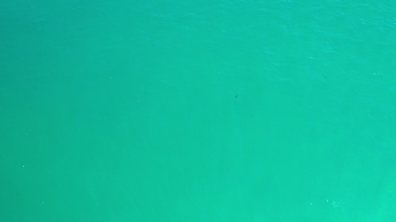 Turquoise seawater with a faint surface line and soft underwater haze.