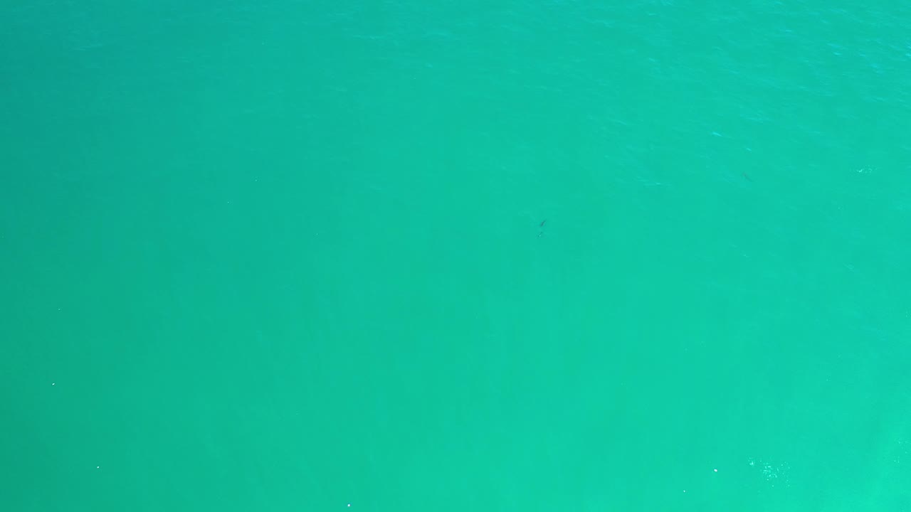 Early frame of clear blue-green seawater in Los Cabos, Mexico with slight surface ripples, tiny specks in the water, and no visible people.