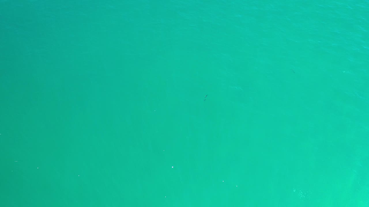 Turquoise water with brighter patches below the surface.