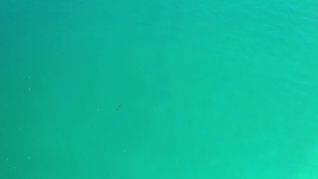 Top-down Los Cabos ocean frame with green water, soft tonal shifts under the surface, and no visible people.