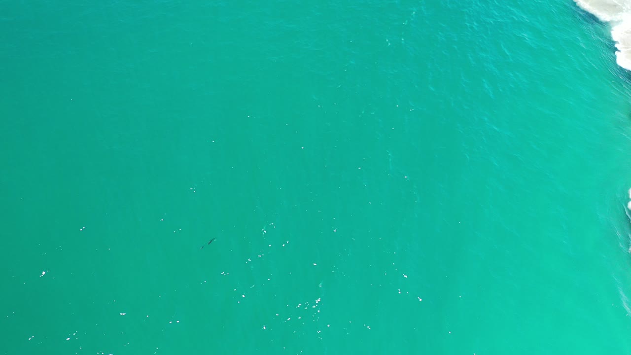 Overhead view of turquoise ocean water in Los Cabos, Mexico, with a small white foam edge near the upper right and no visible people.
