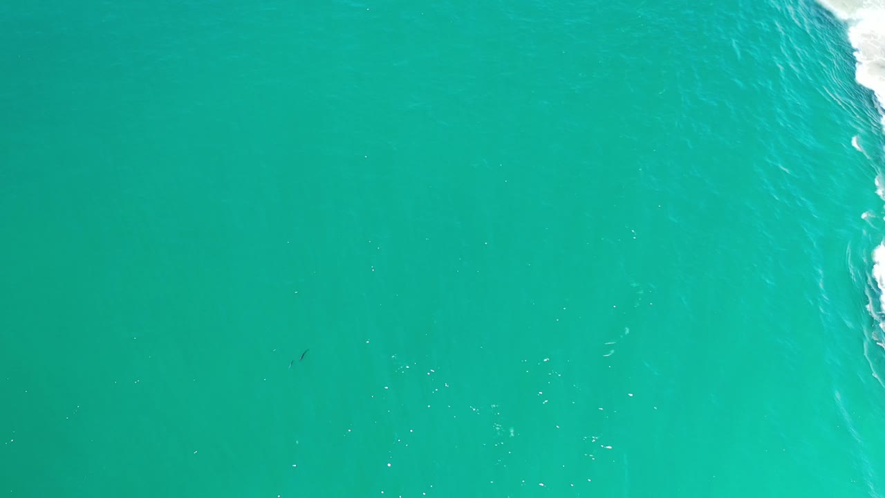 Turquoise water with pale current bands and surf foam along the right edge.