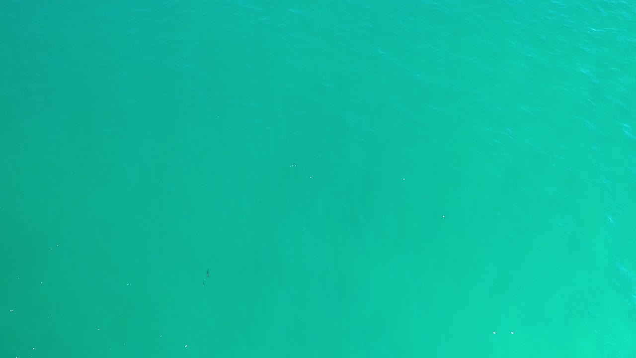 Overhead view of turquoise sea water in Los Cabos, Mexico, with faint ripples, small bright reflections, and no visible people.