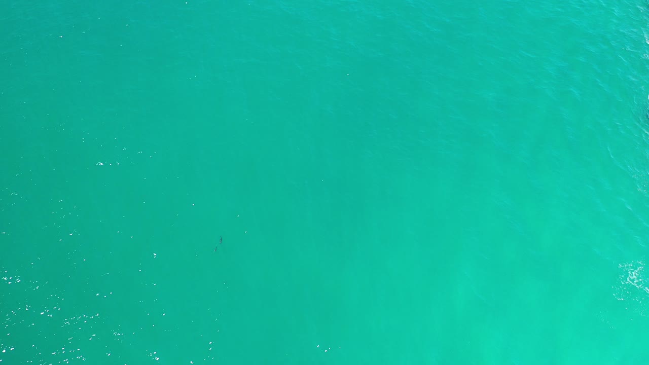Overhead view of turquoise water in Los Cabos, Mexico, with faint darker patches below the surface, light ripples, and no visible people.