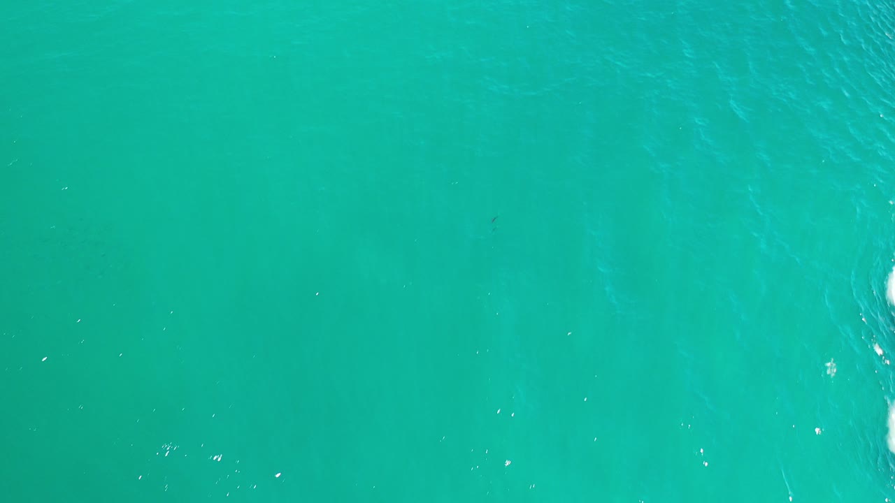 Opening overhead view of turquoise-green sea in Los Cabos, Mexico, with faint darker seaweed areas below the surface and no visible people.