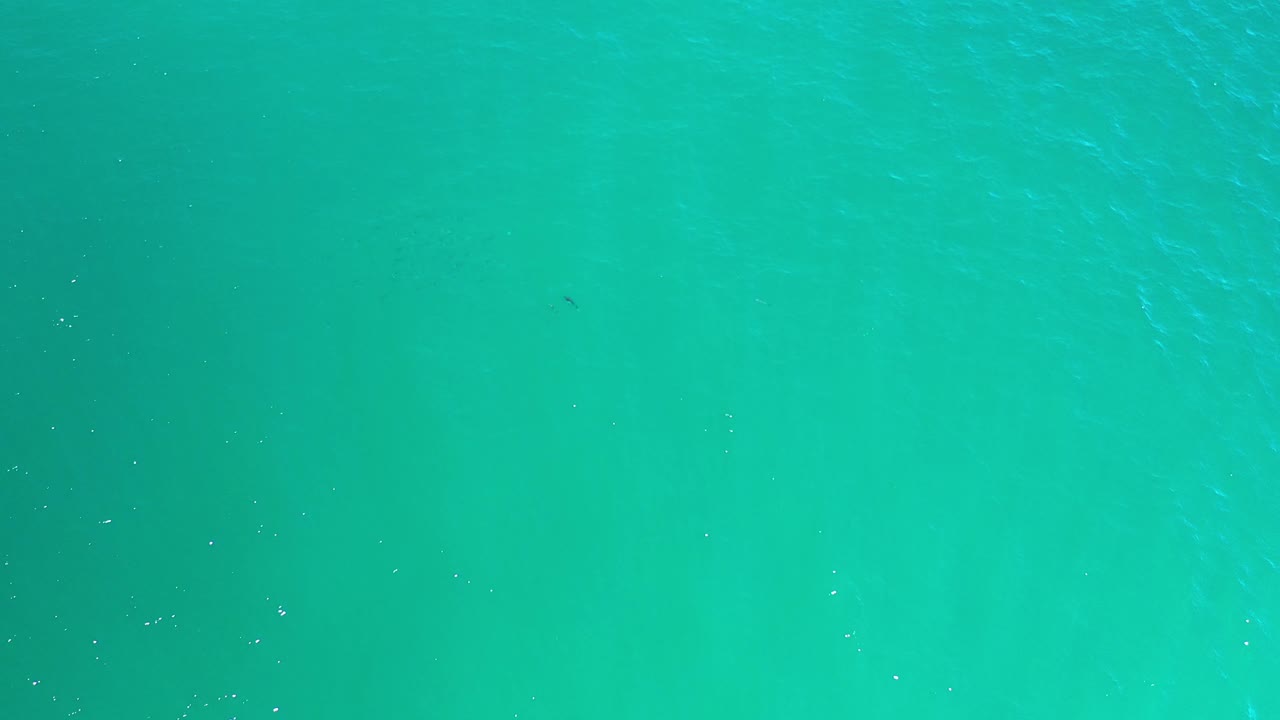 Turquoise ocean water filling the frame