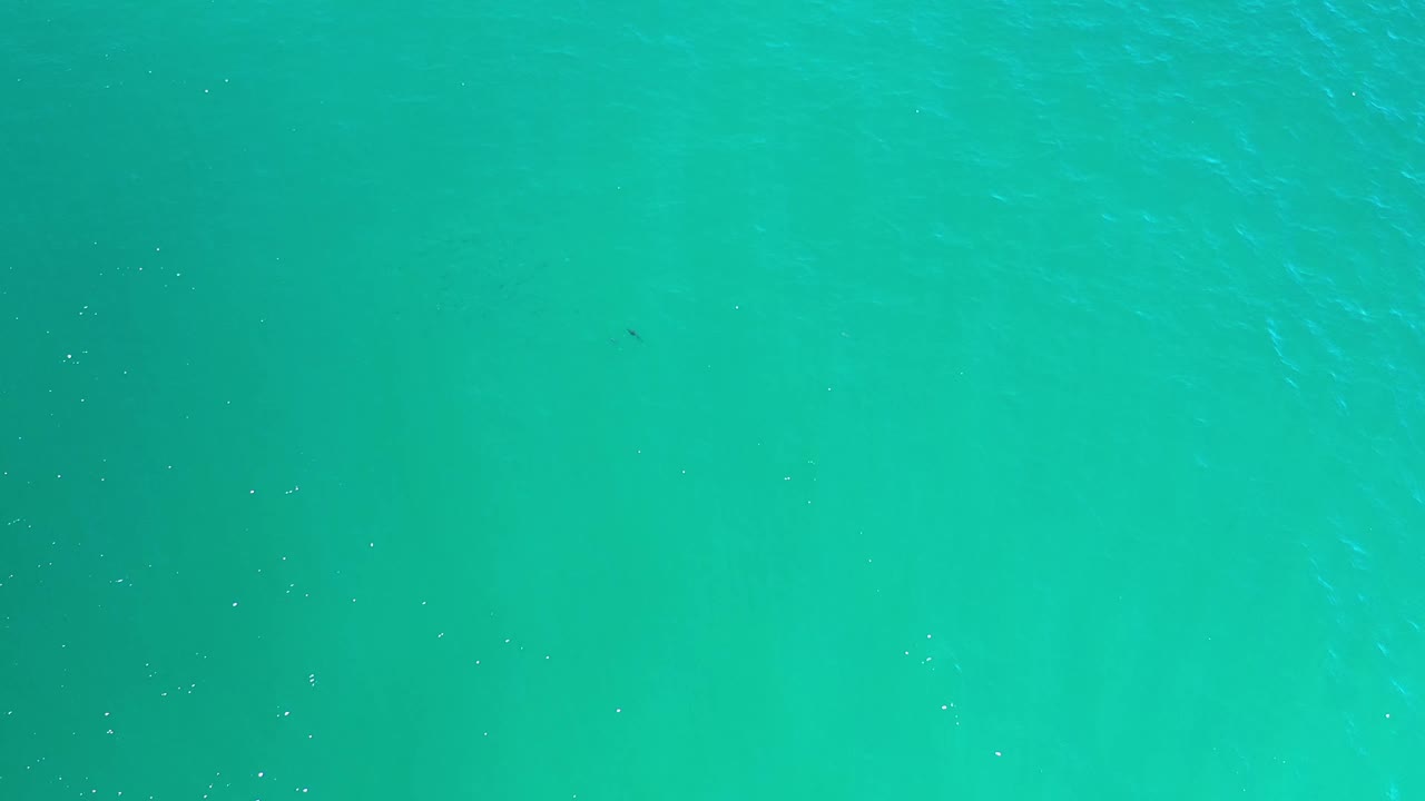 Blue-green ocean water remains full frame in Los Cabos, with a slightly brighter patch toward the upper right and no visible people.