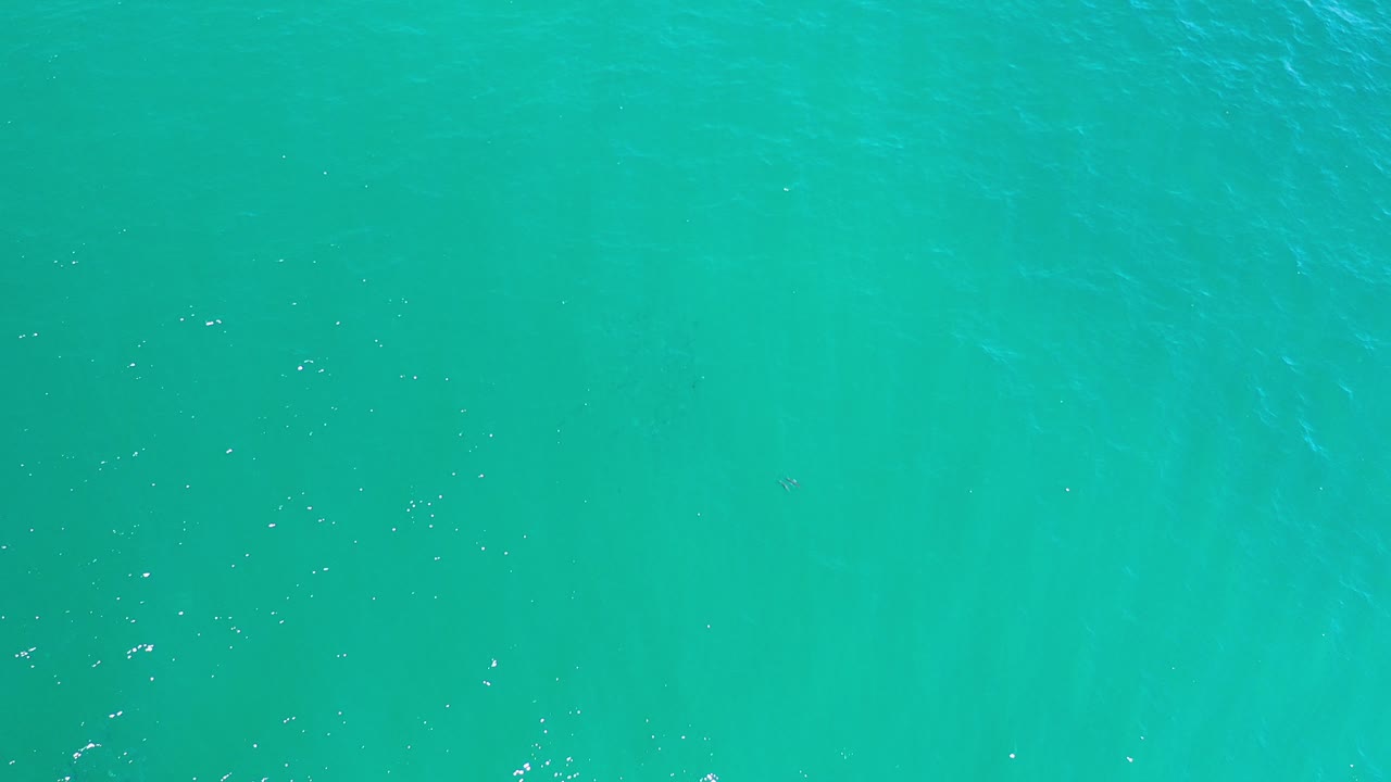 Top-down view of turquoise-green water in Los Cabos, Mexico, with faint surface ripples and no visible people.