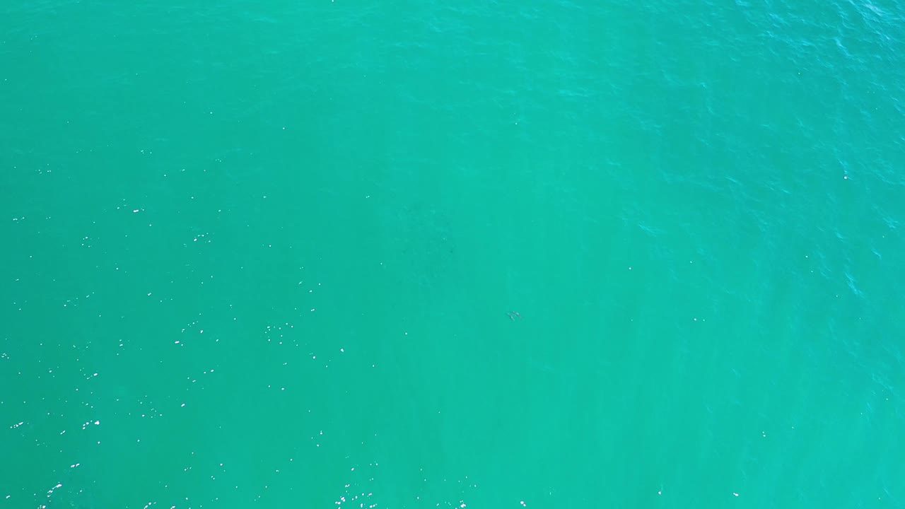 Overhead Los Cabos water frame with green-blue color, darker underwater-looking bands, scattered bright flecks, and no visible people.