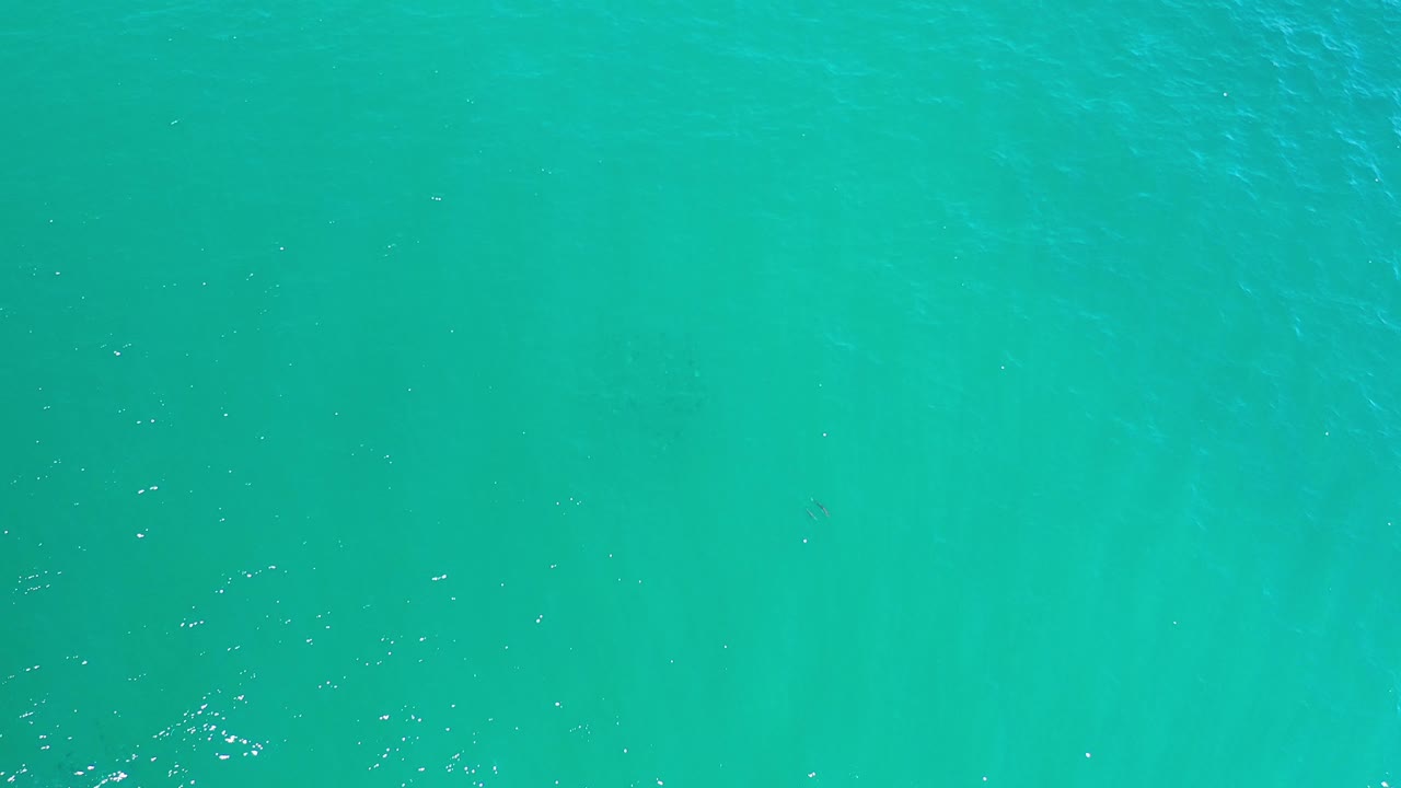 Top view of smooth teal water with light surface specks.