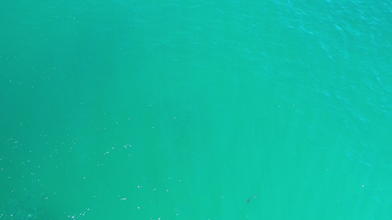 Top-down view of blue-green ocean water in Los Cabos, Mexico, with faint ripples and no visible people.