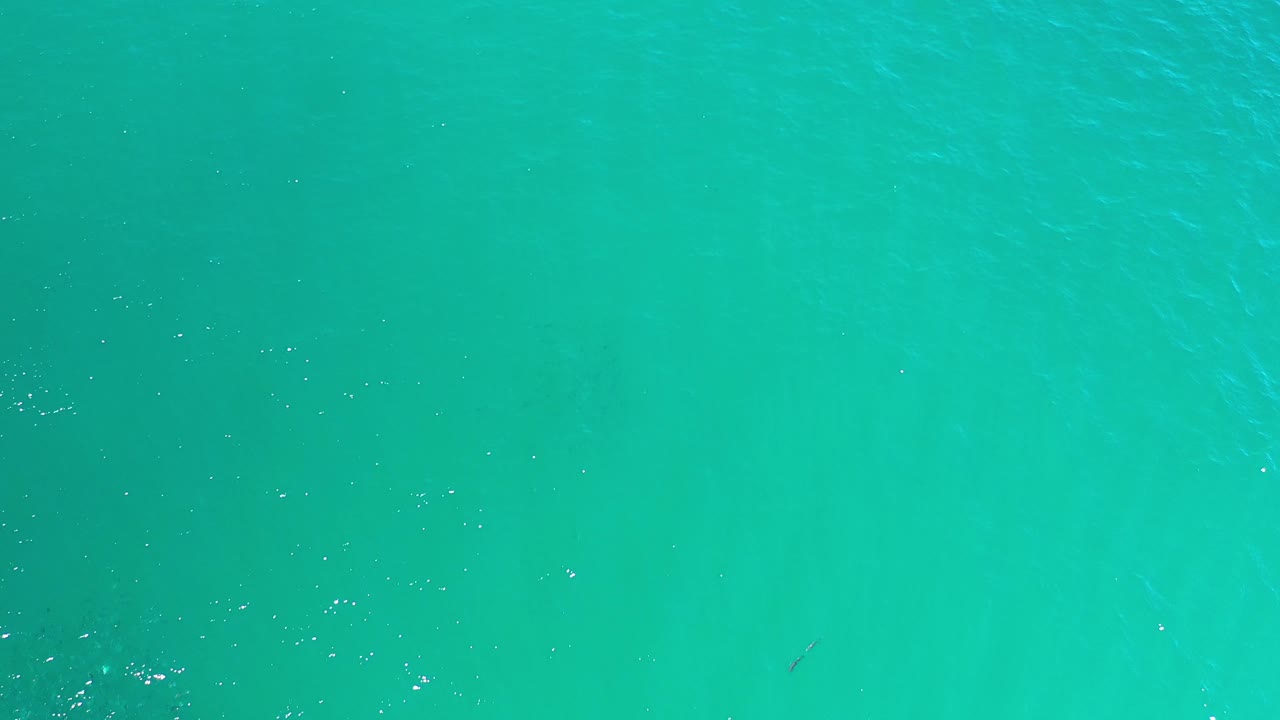 Overhead ocean water with scattered bright flecks.
