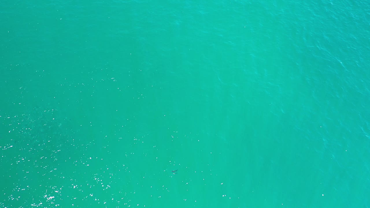 Top-down view of turquoise pool water in Los Cabos, Mexico, with fine ripples and no visible people at the opening frame.
