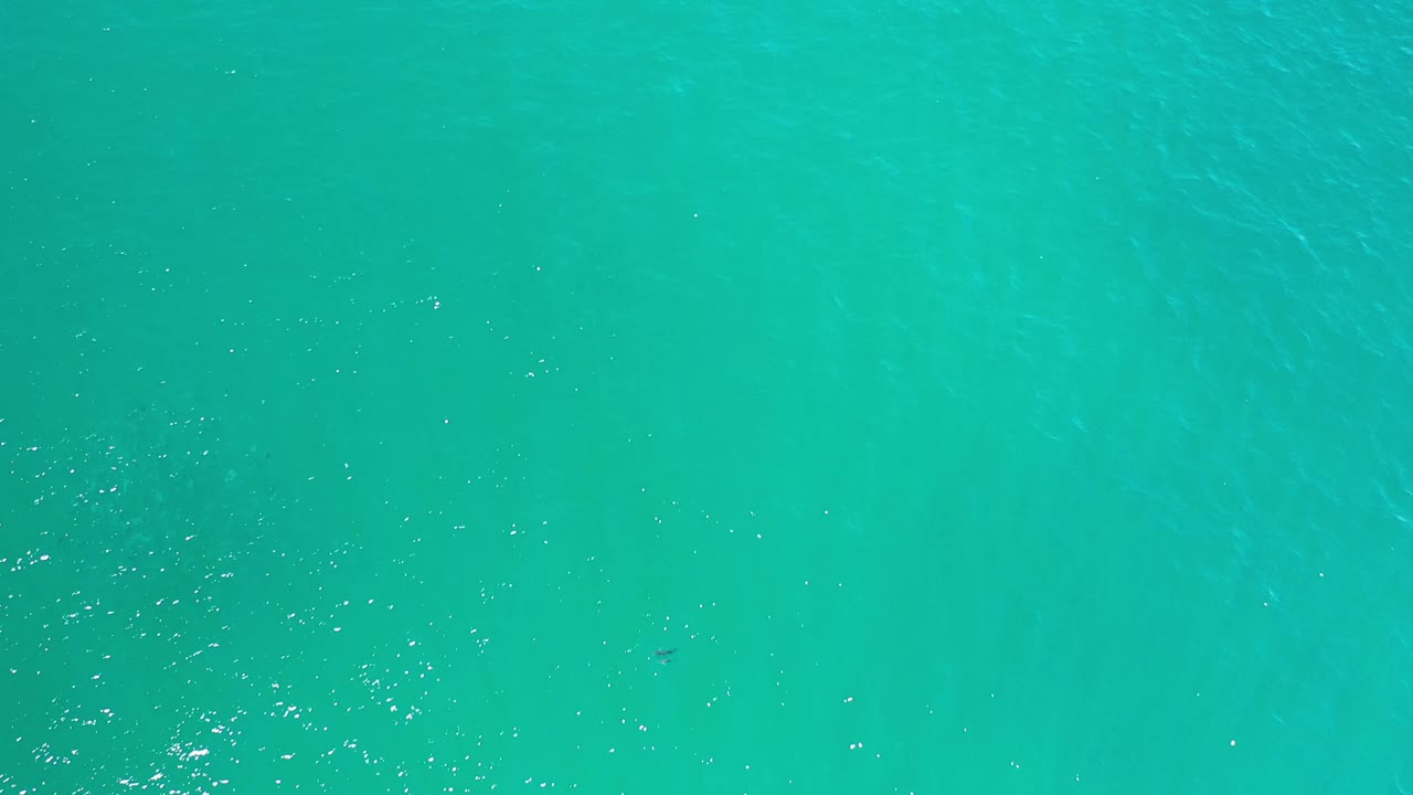 Blue-green pool water in Los Cabos, Mexico, fills the frame with scattered sun glints and no visible people.