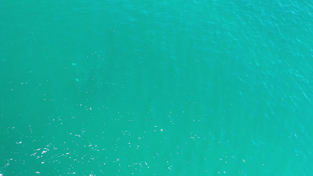 Turquoise ocean surface with small sunlit ripples.