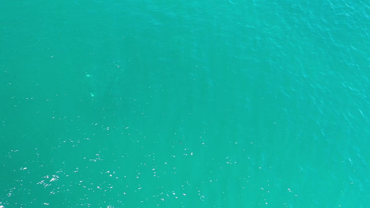 Early frame of Los Cabos water showing a smooth green-blue surface, faint diagonal ripple texture, and no visible people.