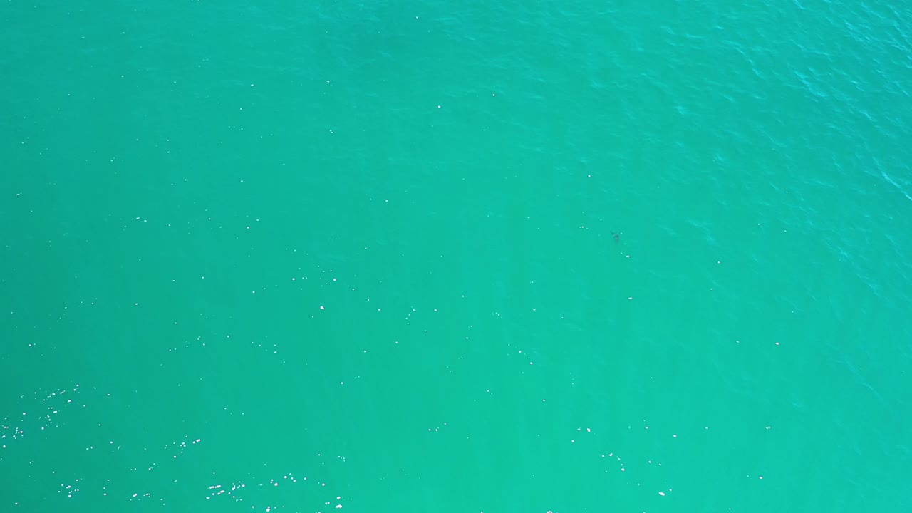 Aqua water fills the frame in Los Cabos, Mexico, with scattered white sparkle highlights and no visible people.
