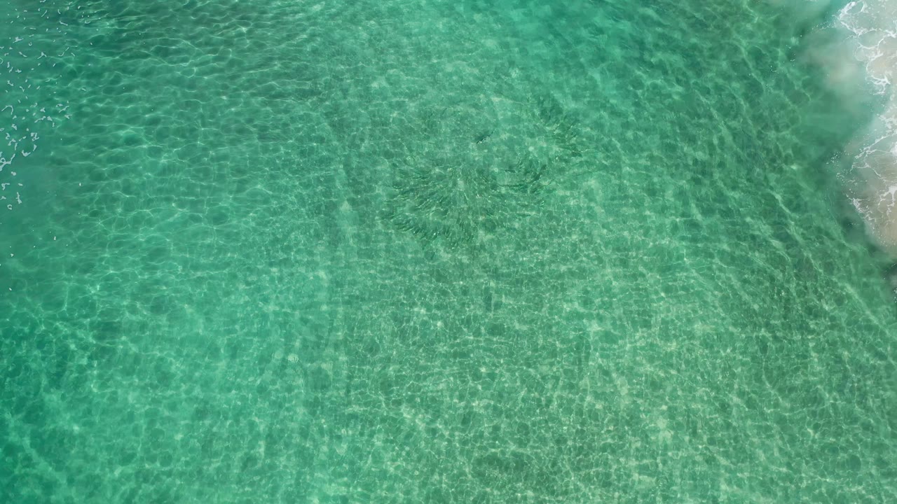 Clear green-blue ocean fills the Los Cabos frame, with the sandy surf line tucked into the upper right and no visible people.