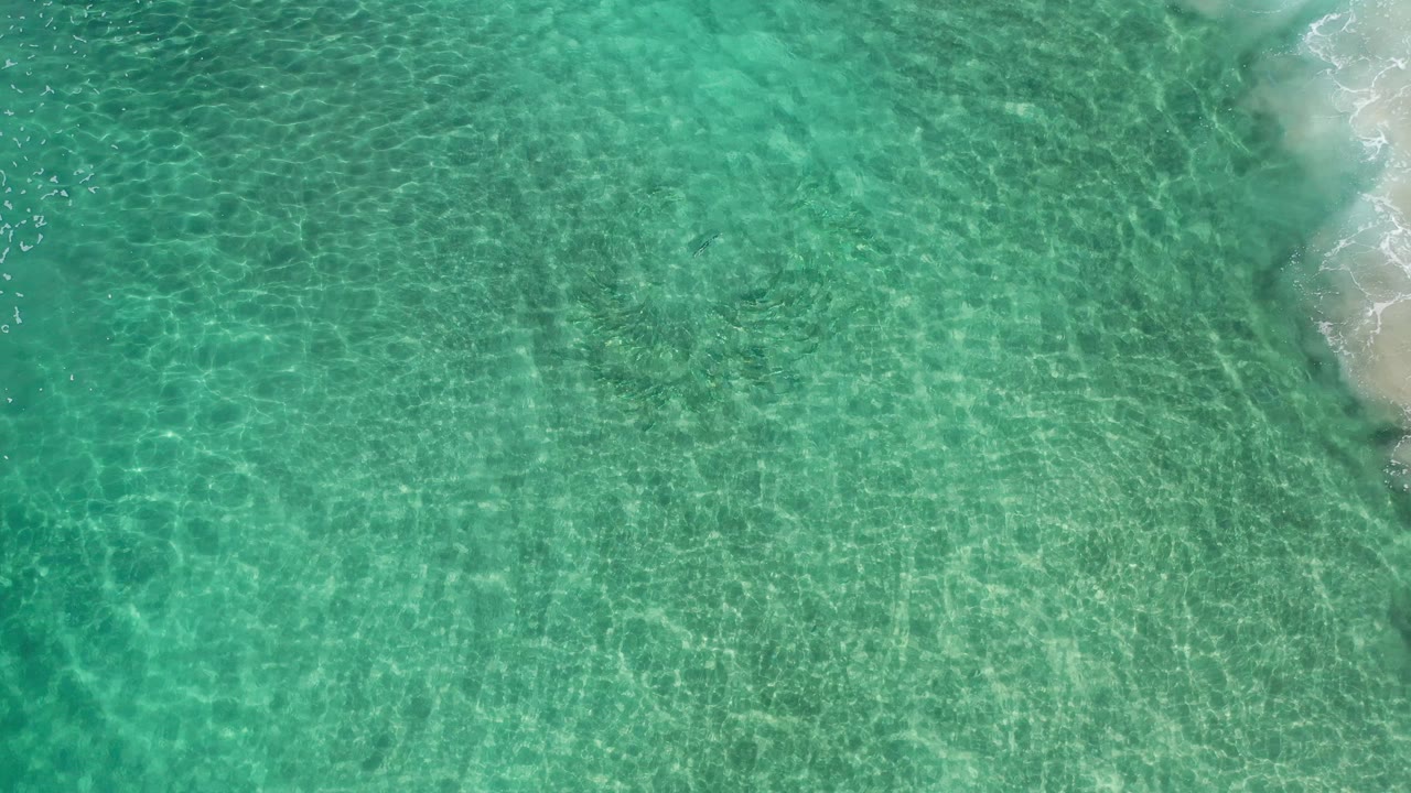 Aerial view of shallow turquoise water with beach foam on the right.