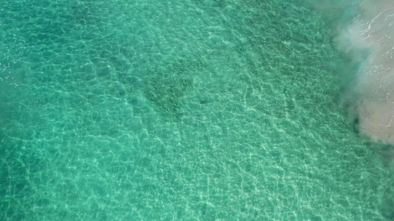 Aerial-looking frame of Los Cabos shallows where green-blue water fills most of the view and a pale sandy shoreline remains along the right side with no visible people.