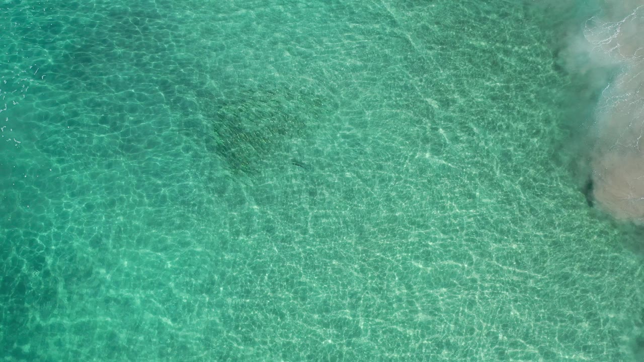 Top-down ocean shallows with darker water patches and shoreline foam.