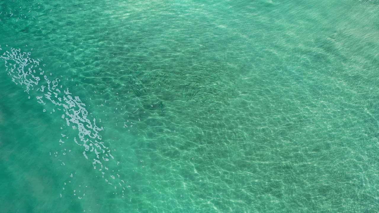 Overhead clear water with darker underwater patches.