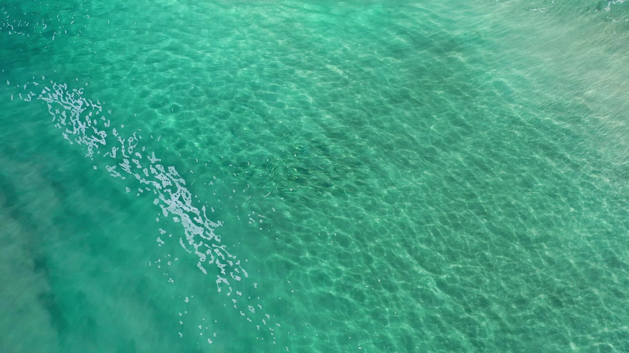 Clear green ocean water with fine wave texture and bright scattered highlights.