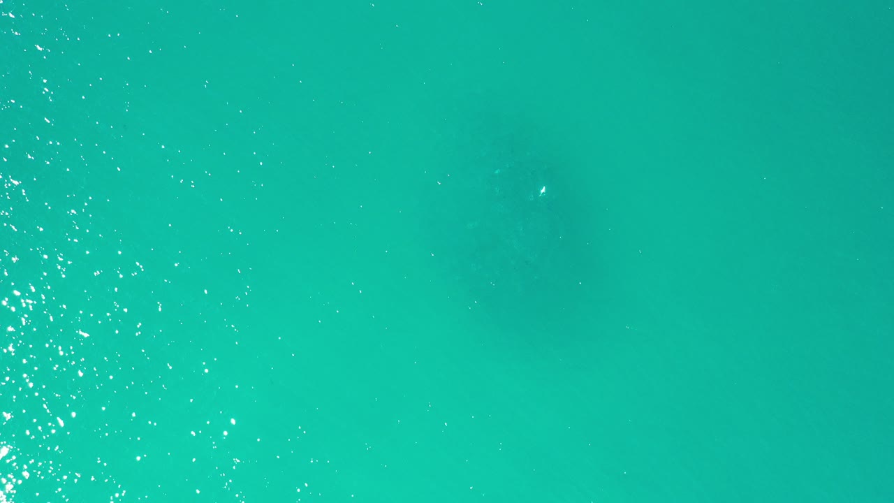 Top-down view of turquoise ocean water in Los Cabos, Mexico, with faint dark fish shapes below the surface and no visible people.
