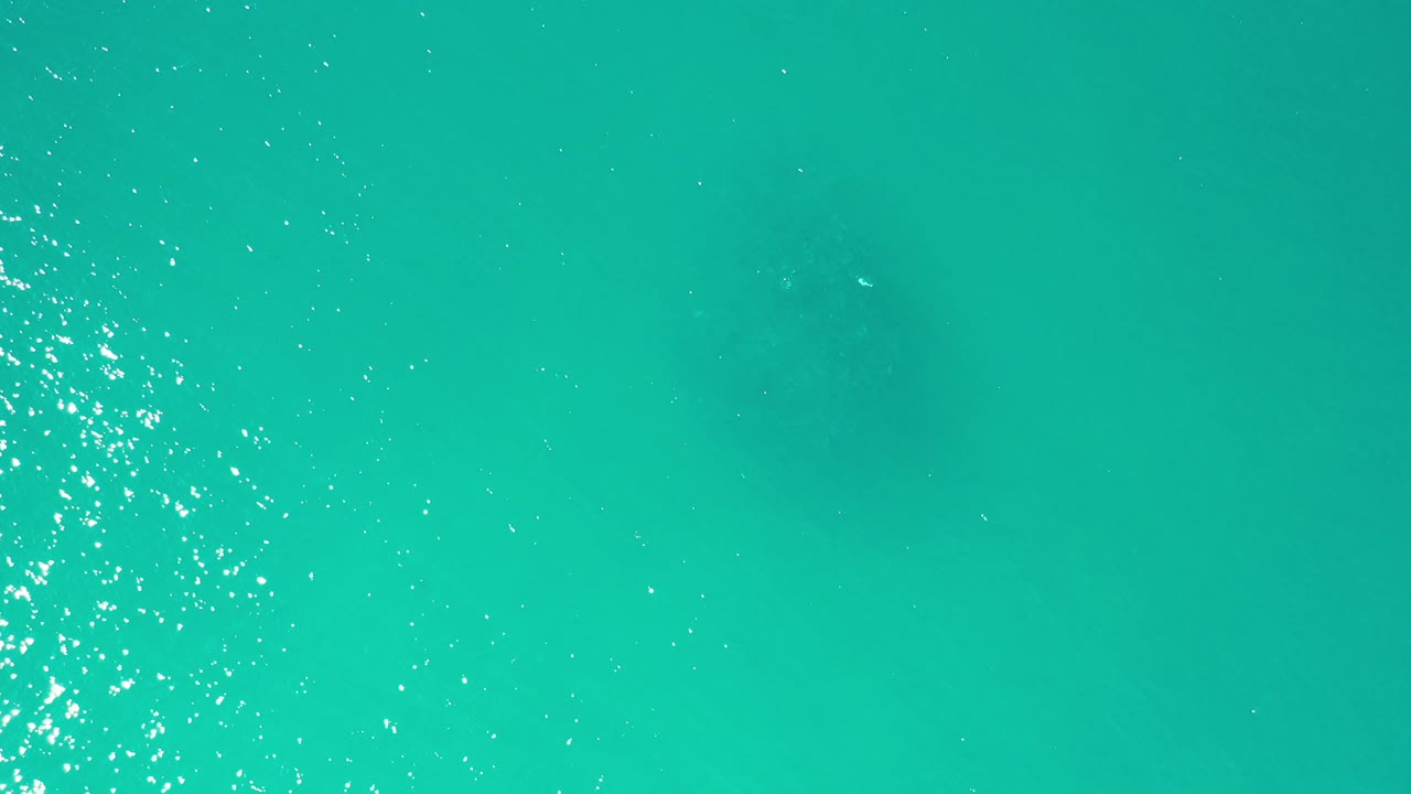 Aquamarine water with small dark fish shapes under the surface