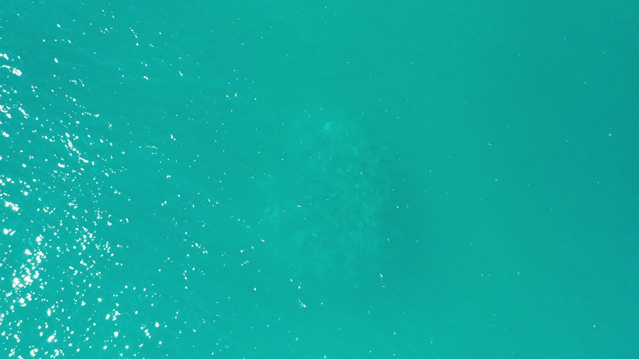 Blue-teal water surface with small sunlit ripples.