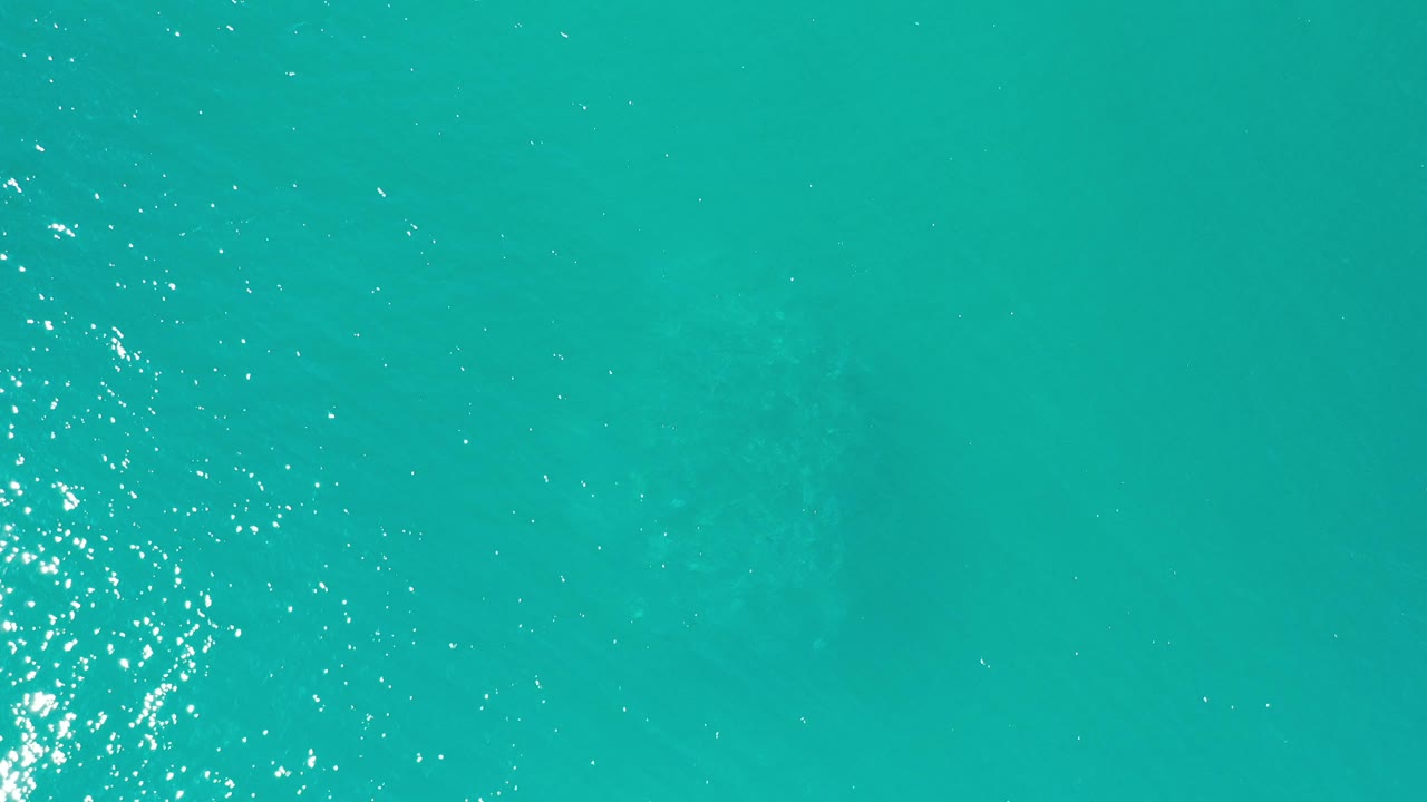 Teal water with bright ripples and faint shapes below.