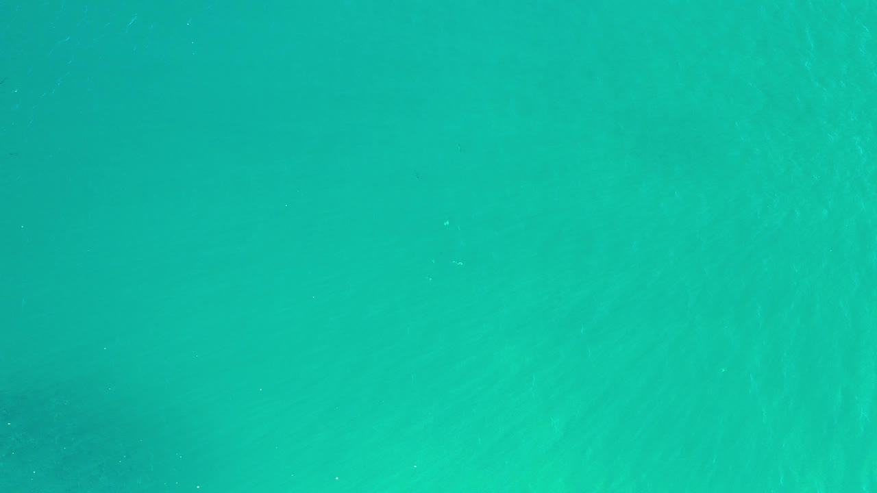 Turquoise green water fills the opening frame from Los Cabos, Mexico, with faint diagonal wave texture and no visible people.