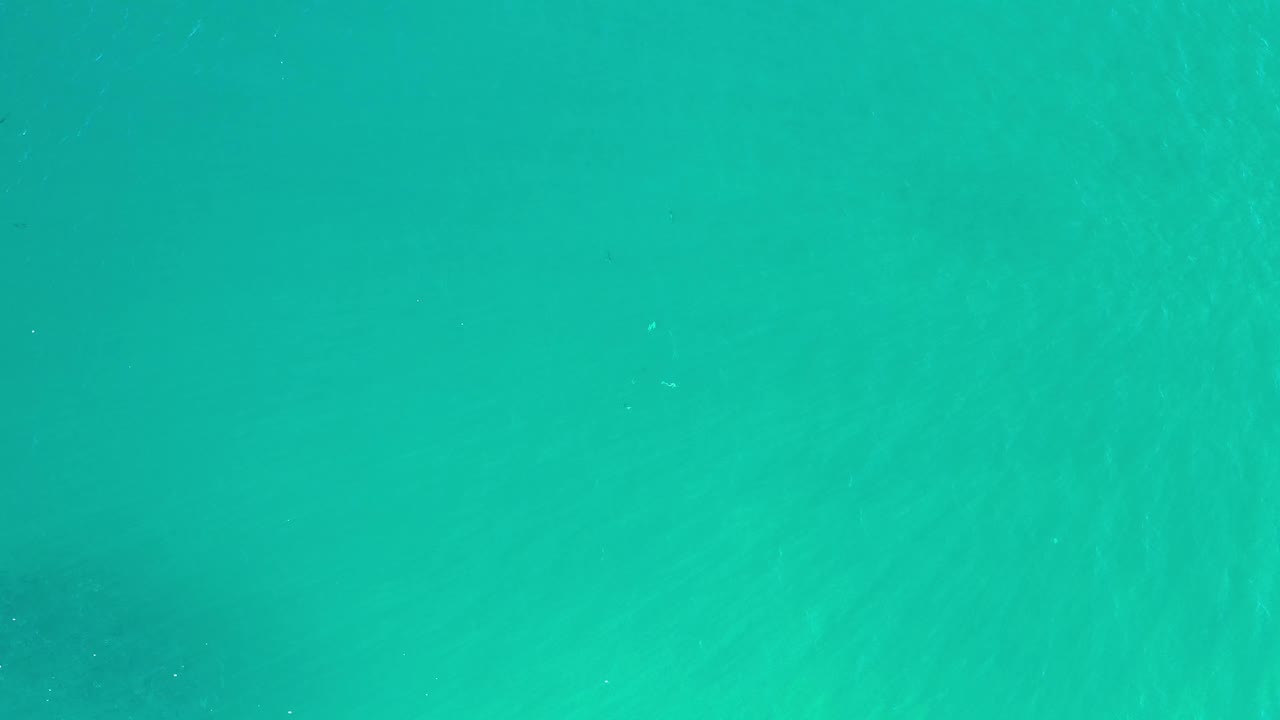 Light green water in Los Cabos, Mexico shows soft ripples spread across an otherwise empty frame with no visible people.