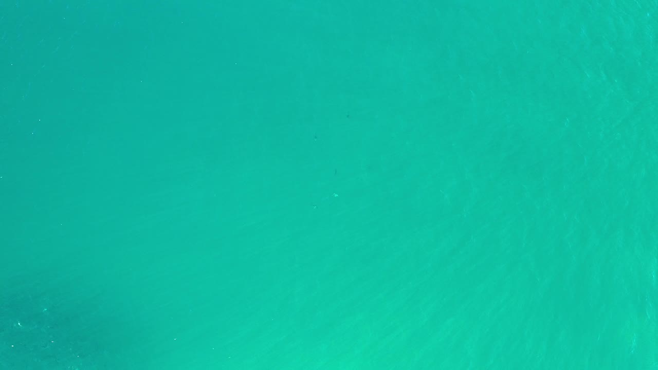 Greenish ocean water with pale wave marks.