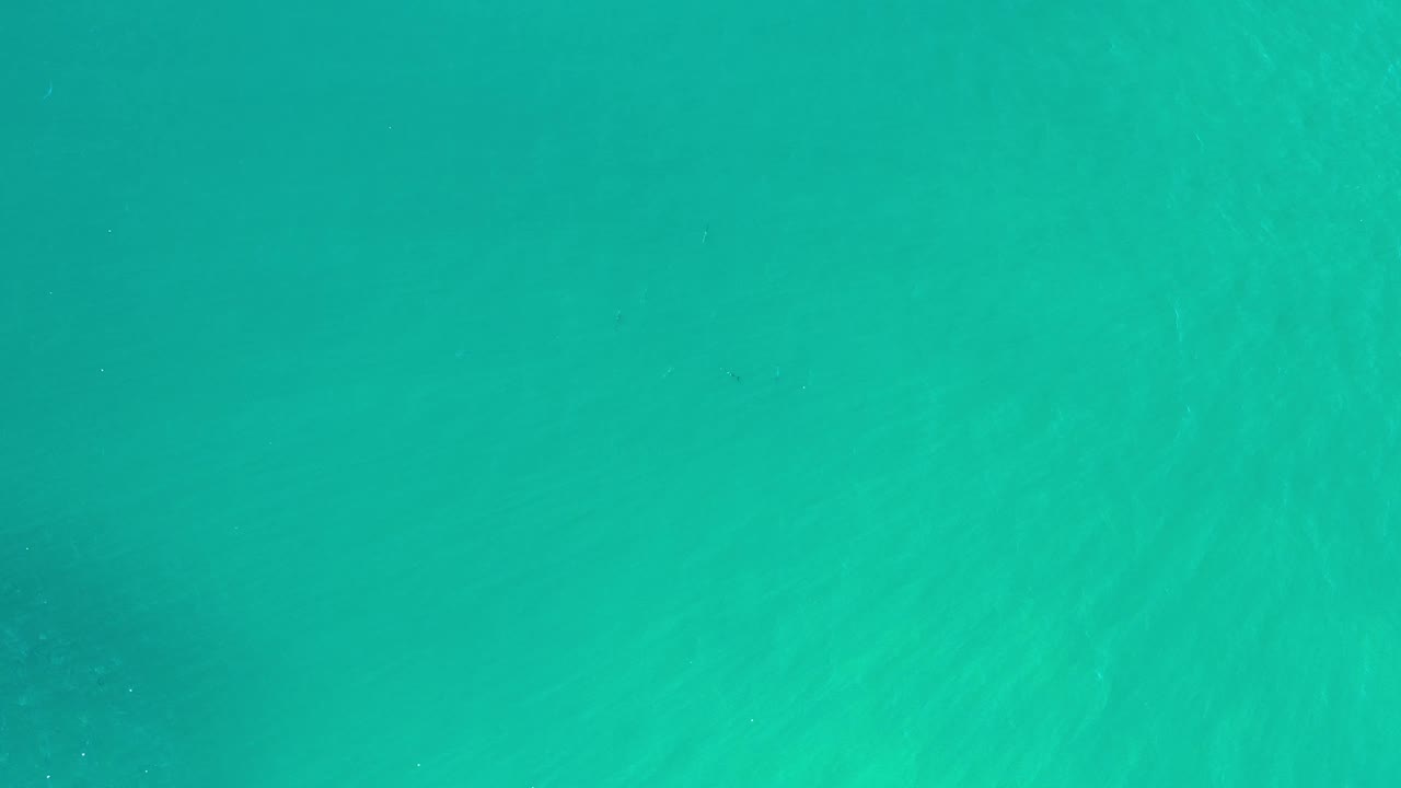Overhead view of Los Cabos seawater with a broad turquoise field, faint ripples, and no visible people or structures.