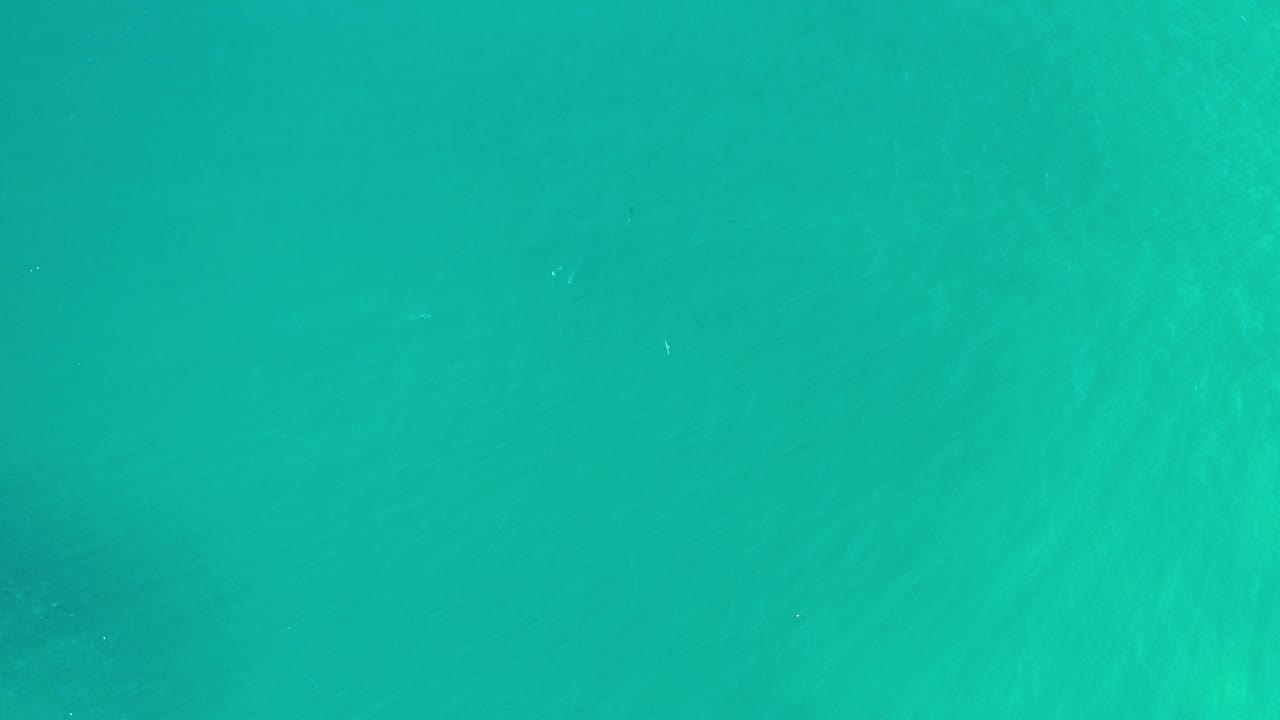 Green blue seawater seen from directly above.